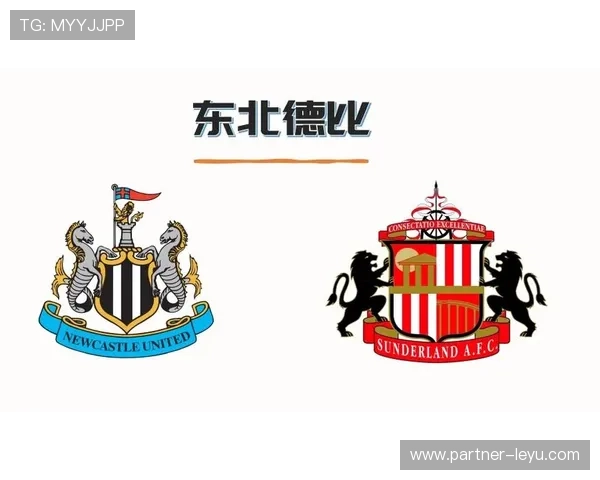 维罗纳核心阵容解析与赛季战略布局全面解读